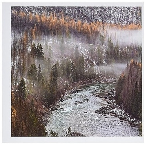 3drose Larch Trees Flathead River Montana Usa Greeting