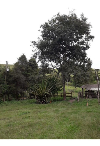 Sítio Carvalhos Com 20.000 M2 - 494