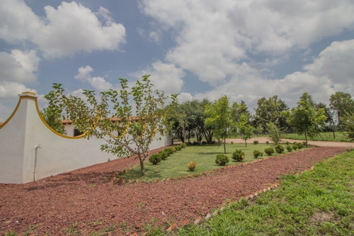 Imagen 27 de 30 de Rancho Morera En Venta, Carretera A Dolores Hidalgo En San M