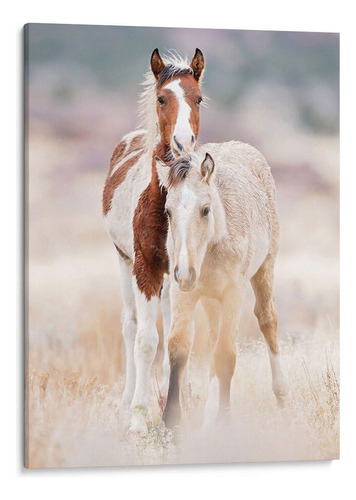 Canvas Lab Cuadro Colección De Caballos X 75x100