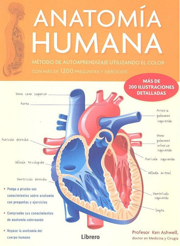 Anatomia Humana Con Mas De 1200 Preguntas Y Ejercicios - ...