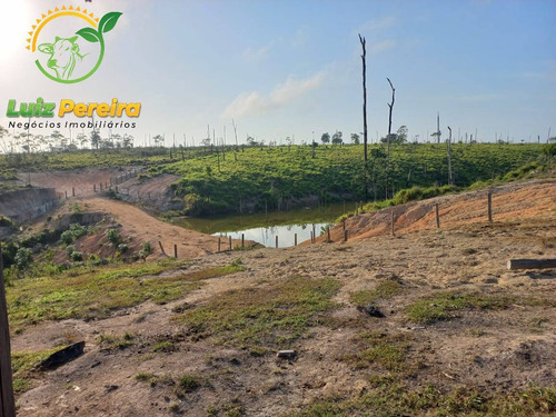Imagem 7 de 15 de Fazenda À Venda Em Pacajá - Pa - 968 Hectares (pecuária) - 1996