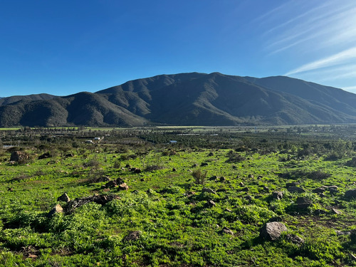 Se Vende Terreno De 4.7 Hectareas A 7 Minutos De La Ligua