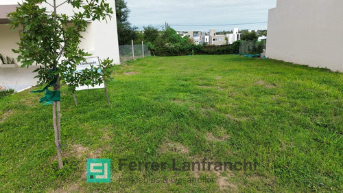 Lote En Venta En Tejas 4