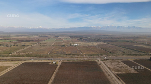 47 Hectareas De Campo Con Gran Frente En Ruta Nacional 40 (acceso Sur) Ugarteche Lujan De Cuyo
