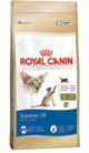 Royal Canin Siamese 38 X 7,5 Kg Oferta Solo Para Retirar Loc