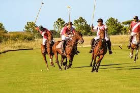 Carmelo Golf. Excelente Lote Al Campo De Polo. Dueño Directo