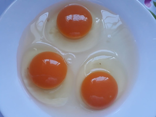 Imagen 6 de 9 de Huevos Caseros Busco Rebendedor