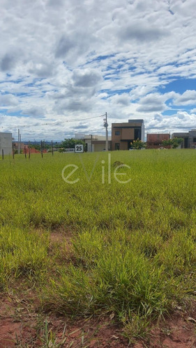 Imagem 3 de 6 de Terreno À Venda Em Vila Monte Alegre - Te008761