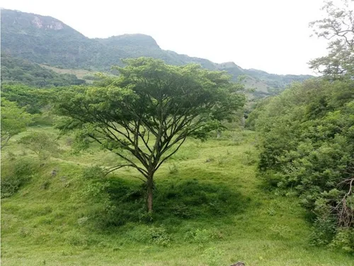 Vendo Lotes En La Pintada Con Vista A Farallones Desde 2.703 M²