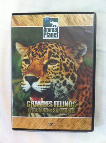 Dvd Grandes Felinos - Predadores Selvagens