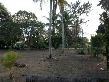 Imagem 3 de 14 de Chácara Br 324 15km De Feira De Santana Próxi Posto São Luis