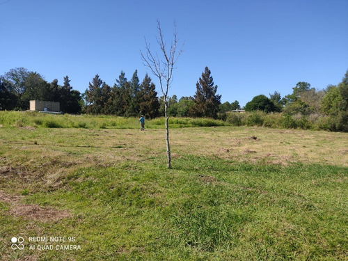 Imagen 4 de 7 de Cuatro Casas En El Pozo, En Altos De San Carlos