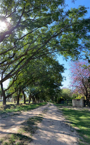 Imagen 5 de 10 de Delpa Vende Lotes En Santa Ana Barrio Ernesto Luque