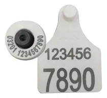 Comprar Caravanas Allflex Electronicas Fdx Conjunto Senasa X 100 Color Blanco