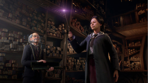 Imagen 5 de 9 de Hogwarts Legacy Standard Edition Warner Bros. PS5 Físico