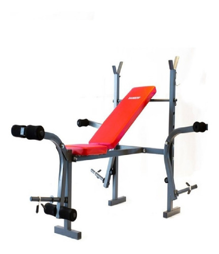 Imagen 8 de 10 de Banco Randers Arg-140 Mg + Mini Bike Plegable