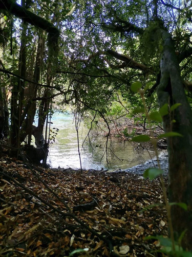 Parcelas A 2 Minutos Del Lago Rupanco, Acceso A Rio