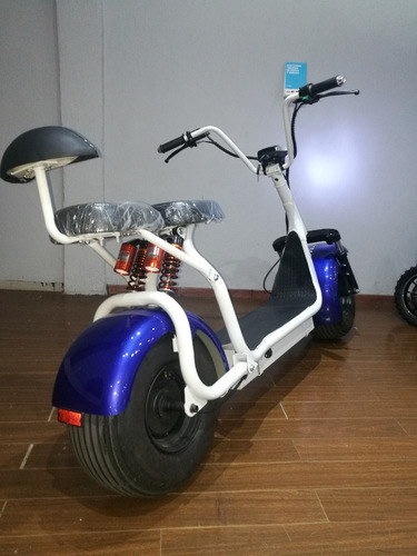 Imagen 11 de 25 de Patineta Electrica Asiento Traslado Interno Barrio Countrie