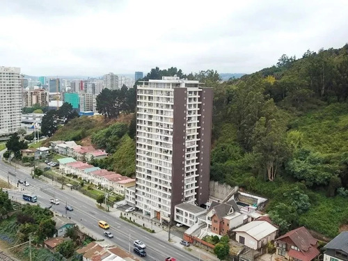 Departamento Pedro De Valdivia · Arriendo $650.000