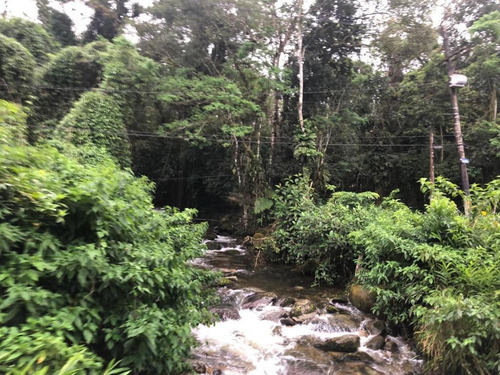 Imagem 8 de 9 de Excelente Área 9.313m2 Com Beleza Natural, Fronteira Com Rio Cachoeira Grande, Apropriada Para Hotel Luxo, Clínica De Repouso, Clube - Vt304