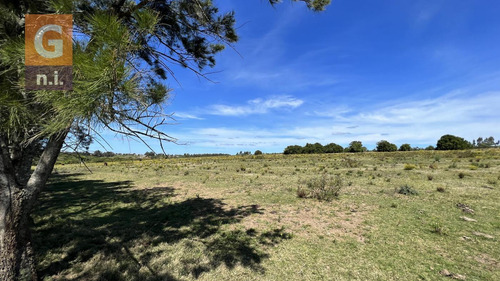 Campos Y Fracciones (ruta 9, Pan De Azúcar) Ref. 5631