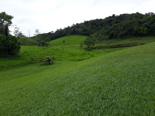 Fazenda - Fa00002 - 34684872