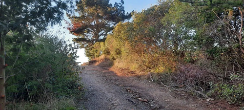 Parcela 3000 M2 En Venta Cobquecura