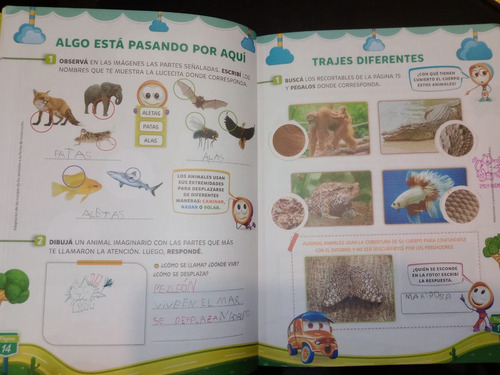 Libro Vamos De Paseo 1 Ciencias Sociales Naturales Mandioca