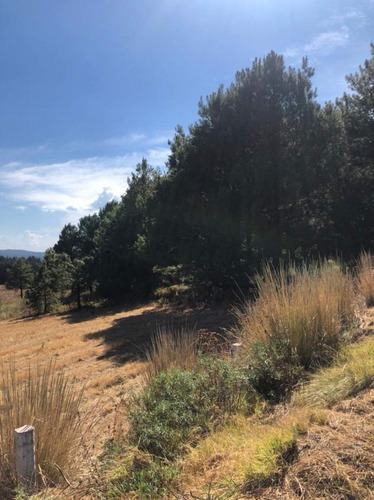 Imagen 3 de 24 de Terreno En Venta En Amanalco De Becerra, Amanalco, Edo. De México.