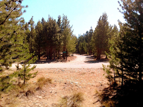 Imagen 19 de 22 de Lote Venta Bariloche Financiación 50% Dos Valles