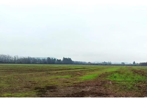 Terreno Agrícola En Venta, Campo De 16,4 Ha, San Clemente