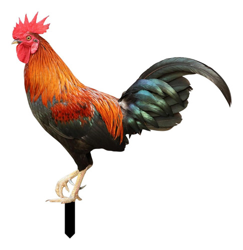Mz Estacas De Jardín Con Estatua De Animales De Gallo,
