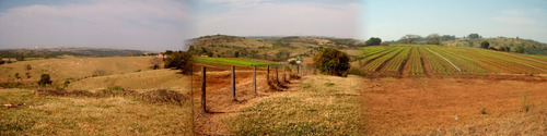 Imagem 14 de 21 de Chácara Areas Para Incorporações E Loteamentos Campinas - Sp - Jardim Myrian Moreira Da Costa - Ch0010
