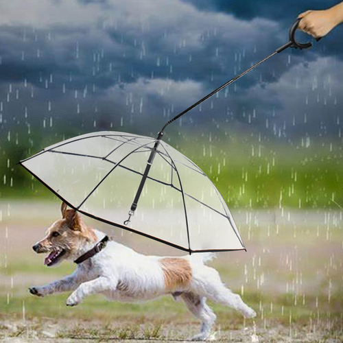 Paraguas Para Perros Con Correa Paraguas Para Mascotas Para