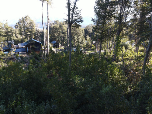Lote Con Suave Pendiente Con Vista Al Lago Nahuel Huapi, Villa La Angostura