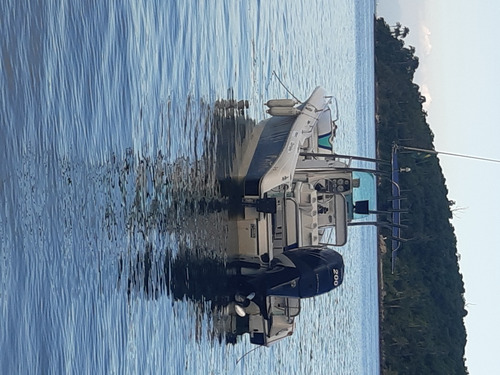 Imagem 11 de 15 de Lancha Fishing 24 Pés No Rio De Janeiro