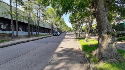 Imagen 4 de 9 de Local Comercial En Piriápolis De Grandes Dimensiones