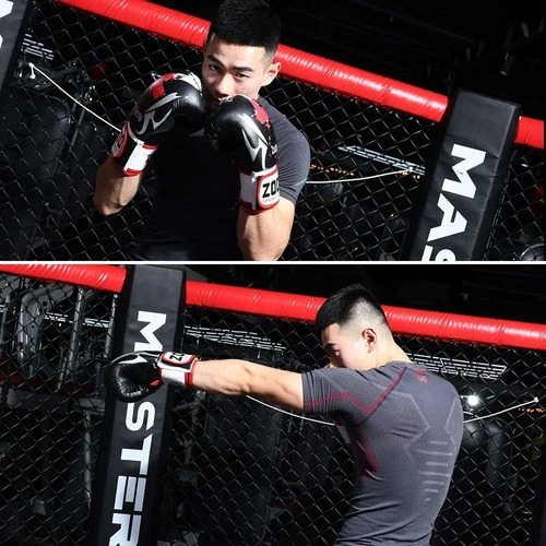 Luvas De Boxe Profissionais Kick Boxing