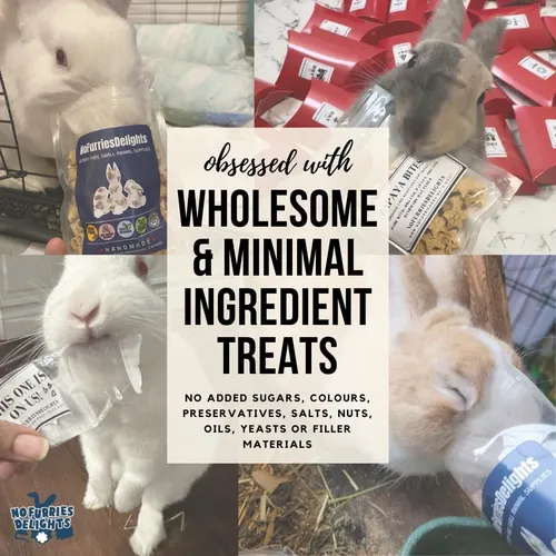 Alimento Para Conejo Hámster Cobaya Chinchilla Ratones