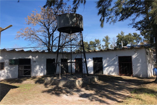 Imagen 16 de 21 de Venta Campo De 195 Ha. En Manzanares Pilar - Único