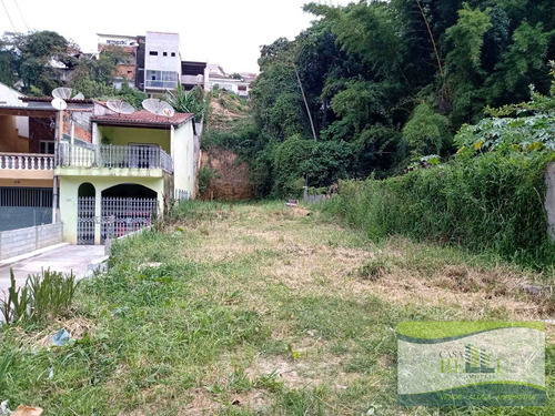 Imagem 2 de 7 de Lote / Terreno Em Companhia Fazenda Belem - Franco Da Rocha - 813