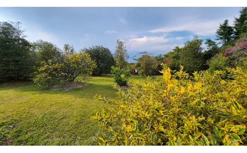 Venta Finca Via La Union