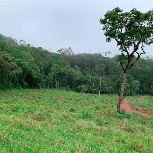 Imagem 14 de 14 de A26 Terreno Com Otima Negociação