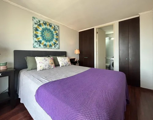 Arriendo Departamento Moderno Y Luminoso Santiago Centro