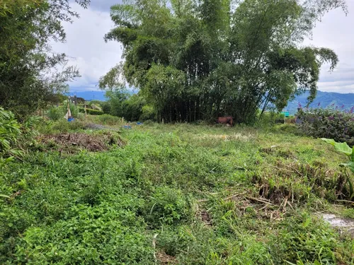 Lote En Venta, 4.375 Mt2 En Dosquebradas