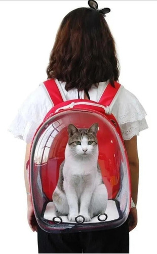 Imagen 2 de 10 de Mochila Bolso Mascotas Gato Perro Capsula Burbuja Espacial