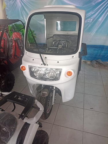 Sunl Mototaxi 110