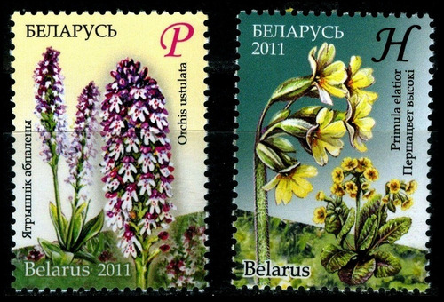 Flores En Peligro - Bielorrusia - Serie Mint