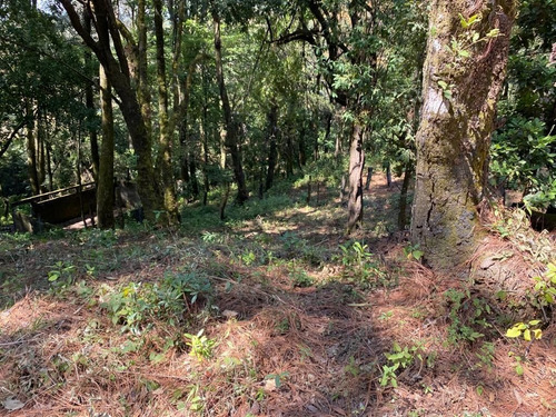 Imagen 4 de 6 de Terreno Plano En Fraccionamiento Monte Rubí Huitzilac, Morel